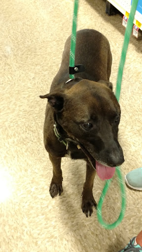 Pet Supply Store «PetSmart», reviews and photos, 5722 Fairmont Pkwy, Pasadena, TX 77505, USA