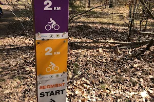 Yellow and Violet bike tracks start/finish image