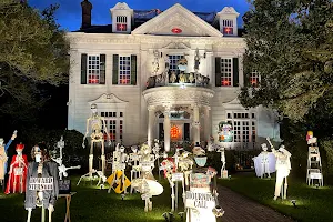 The Skeleton House image