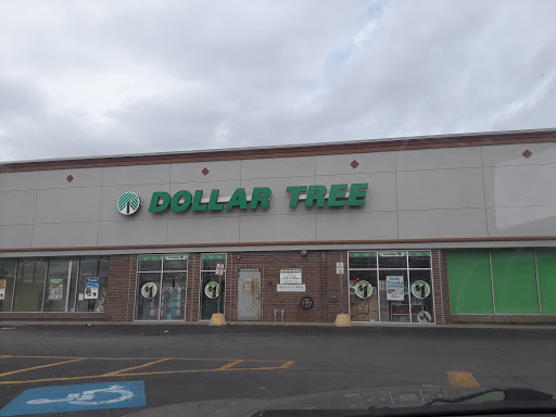 Dollar Store «Dollar Tree», reviews and photos, 101 Joliet St #900, Dyer, IN 46311, USA