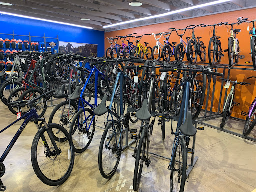 Bicycle Store «Golden Spoke Cyclery», reviews and photos, 6710 W Thunderbird Rd, Peoria, AZ 85381, USA