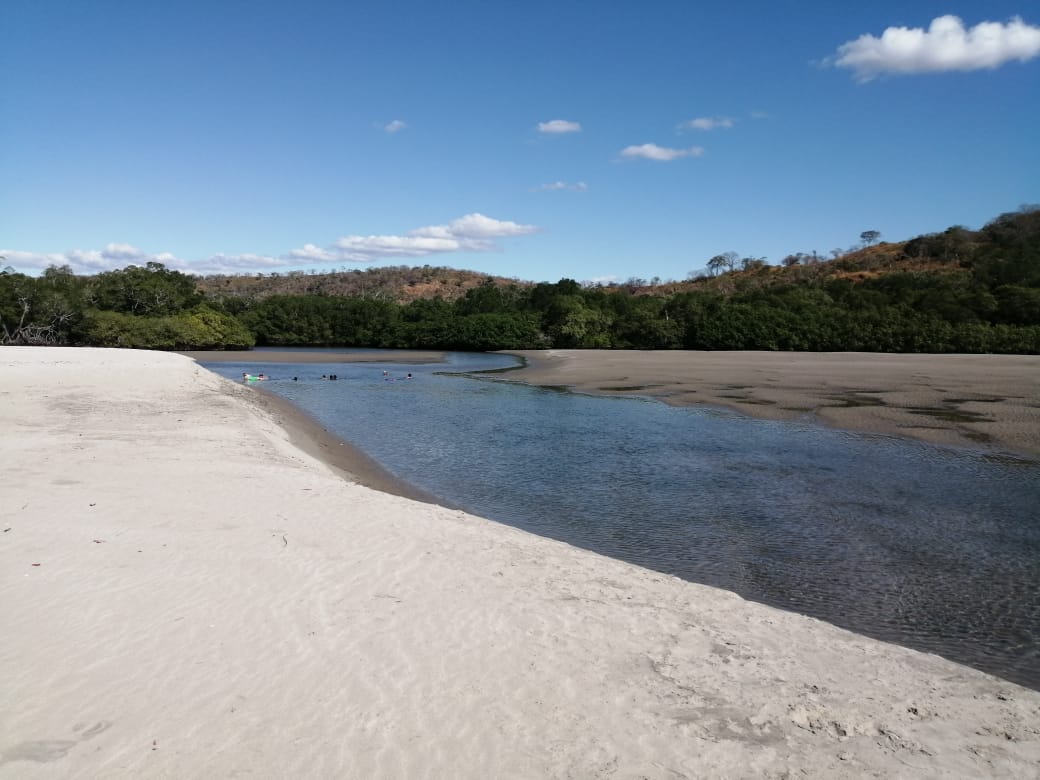 Foto van Cabuyal beach gelegen in een natuurlijk gebied