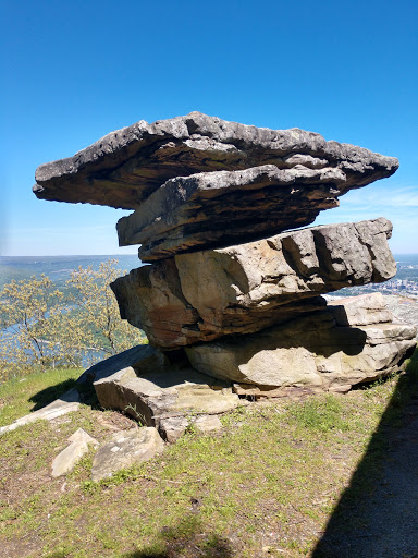 National Park «Chickamauga & Chattanooga National Military Park», reviews and photos, 3370 Lafayette Rd, Fort Oglethorpe, GA 30742, USA