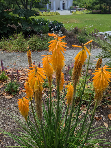 Park «Heritage Park», reviews and photos, 111 Waverly Way, Kirkland, WA 98033, USA