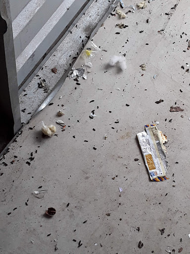 Self-Storage Facility «Life Storage», reviews and photos, 2595 Candler Rd, Decatur, GA 30032, USA