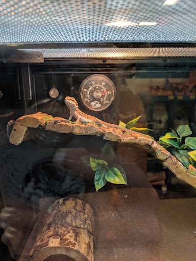 Pet Supply Store «PetSmart», reviews and photos, 849 E 23rd St, Panama City, FL 32405, USA