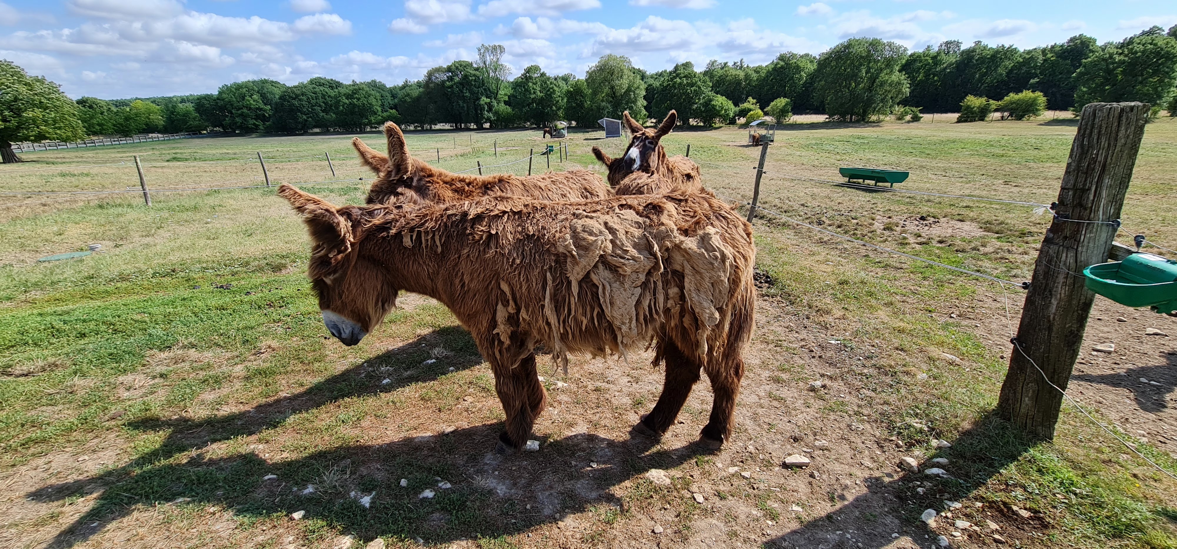 Photo n° 2 de l'avis de Jean.r fait le 23/07/2022 à 17:55