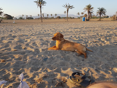 Descubre las espectaculares playas caninas en Murcia