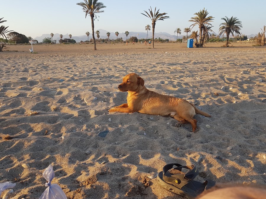 Playa de Las Moreras. Playa Canina