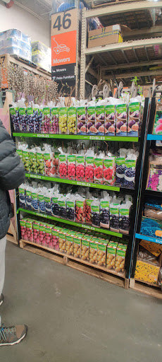 Home Improvement Store «The Home Depot», reviews and photos, 4095 US-1, Monmouth Junction, NJ 08852, USA