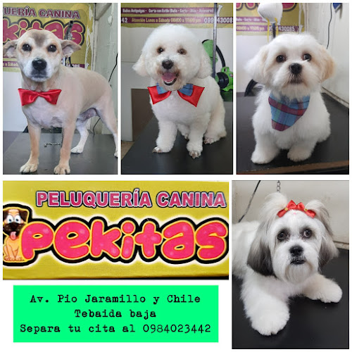 Opiniones de Peluqueria Canina Pekitas en Loja - Peluquería