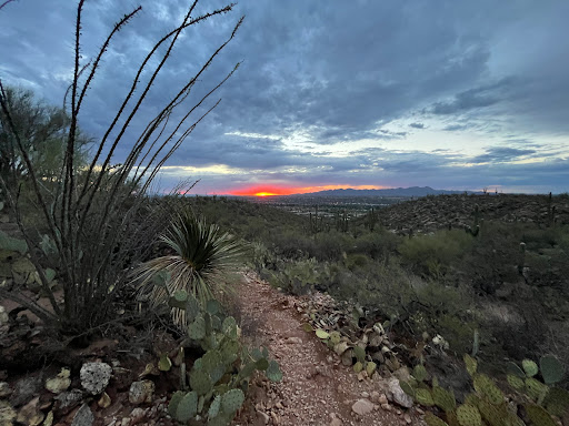 Tourist Attraction «Linda Vista Trail», reviews and photos, 730 E Linda Vista Rd, Oro Valley, AZ 85737, USA