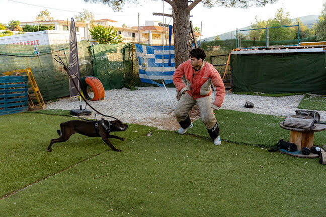 Αριθμός τηλεφώνου Parnitha training dog (PARNITHA DDR KENNEL)