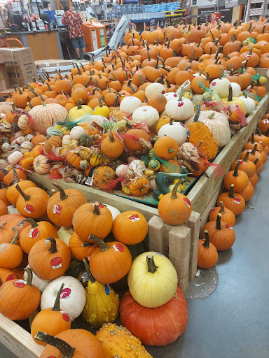 Home Improvement Store «The Home Depot», reviews and photos, 151 Windsor Ave, Terrell, TX 75160, USA