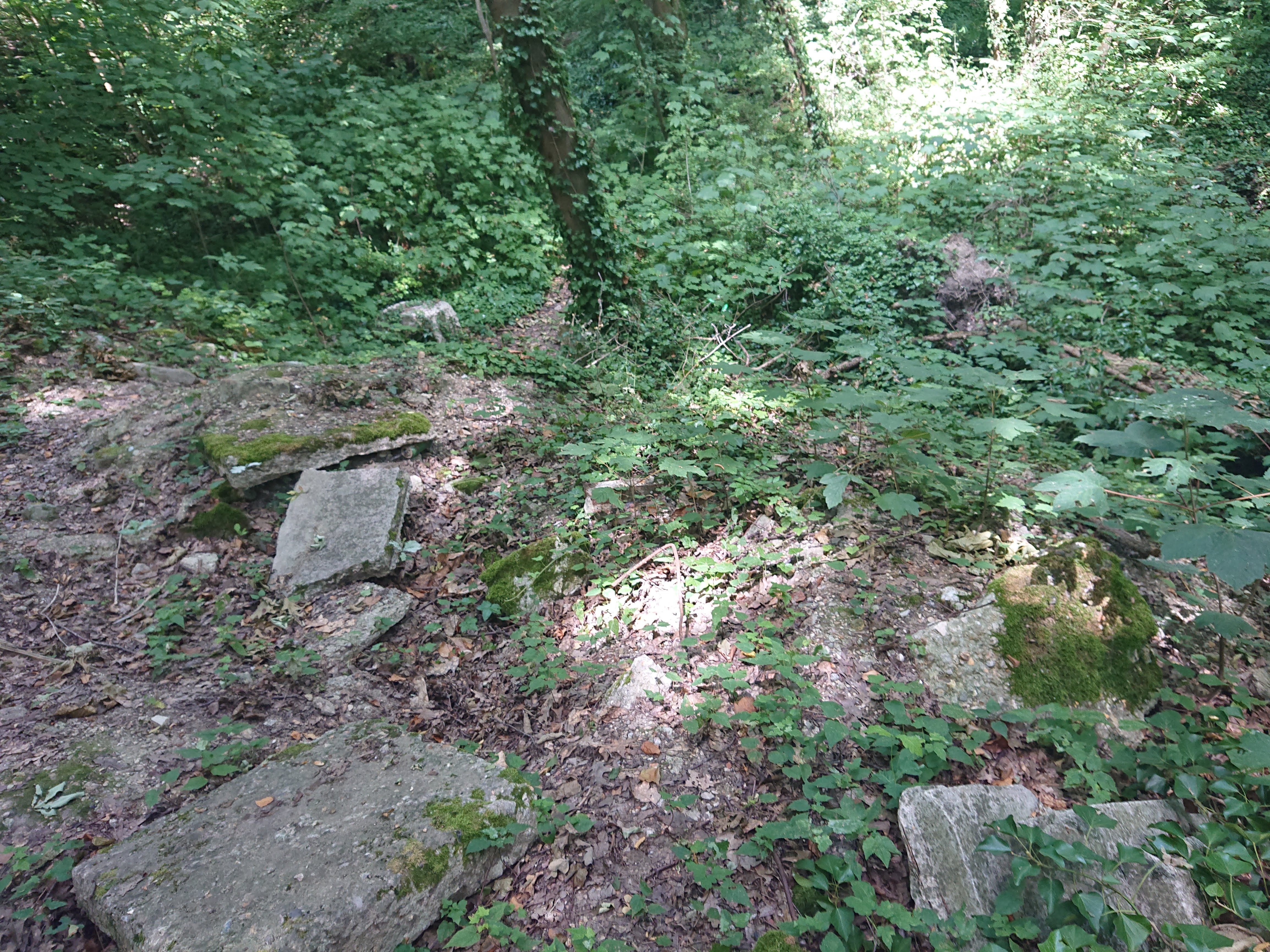 Photo n° 2 de l'avis de Arnaud.a fait le 20/07/2019 à 22:14