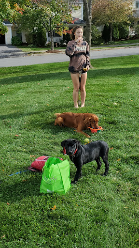 Pet Supply Store «Pet Food Warehouse», reviews and photos, 2500 Williston Rd, South Burlington, VT 05403, USA