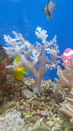 Pet Supply Store «Petco Animal Supplies», reviews and photos, 1169 Valley River Dr, Eugene, OR 97401, USA