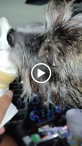 Pawn Shop «Mr Money Pawn & Gun Inc», reviews and photos, 3315 E Hillsborough Ave, Tampa, FL 33610, USA