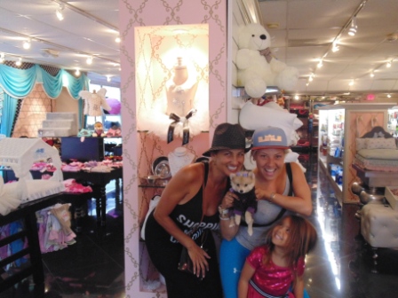 Pet Store «Puppy Boutique Store», reviews and photos, 4001 N Federal Hwy, Fort Lauderdale, FL 33308, USA