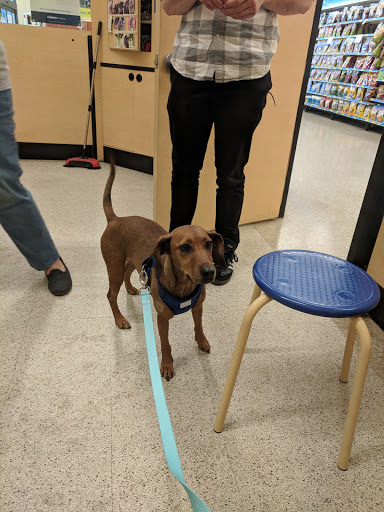 Pet Supply Store «PetSmart», reviews and photos, 27161 Crossroads Pkwy, Rossford, OH 43460, USA