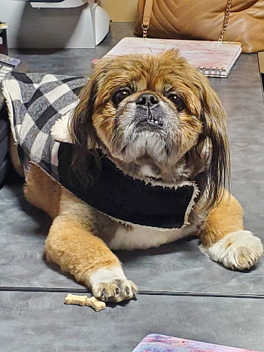 Electrician «Habegger Electric Co», reviews and photos, 3079 Silver Dr, Columbus, OH 43224, USA