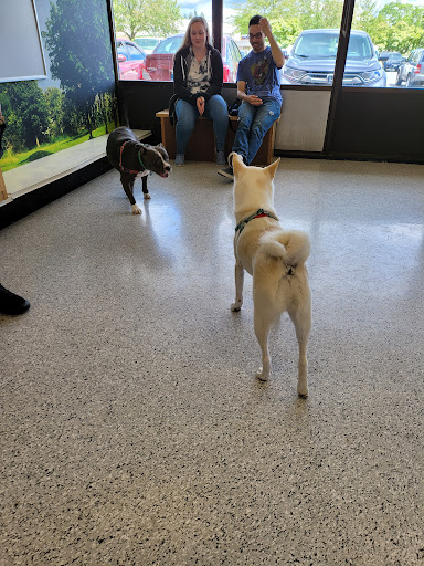 Pet Supply Store «Petco Animal Supplies», reviews and photos, 1203 SE Everett Mall Way f, Everett, WA 98208, USA