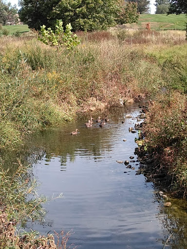 Golf Course «Highland Park Golf Course», reviews and photos, 3550 Green Rd, Highland Hills, OH 44122, USA