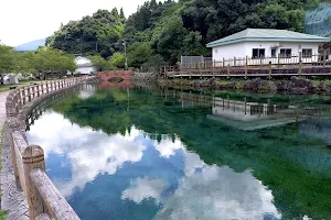 Mt Kirishima Foothill Spring Water Pond image