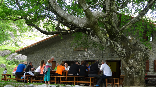 Refugio De Xoxote Aterpea