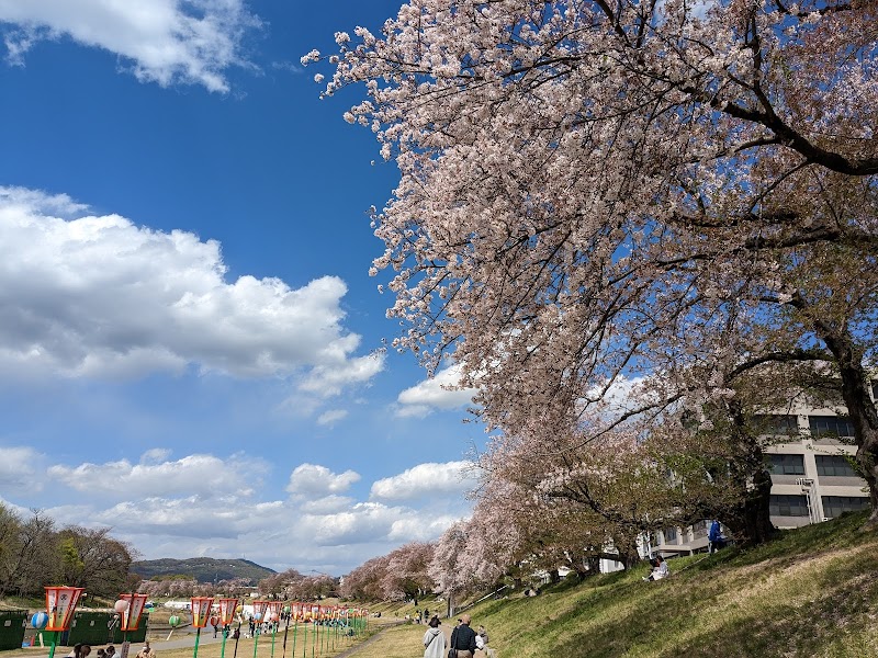 桜カーニバル