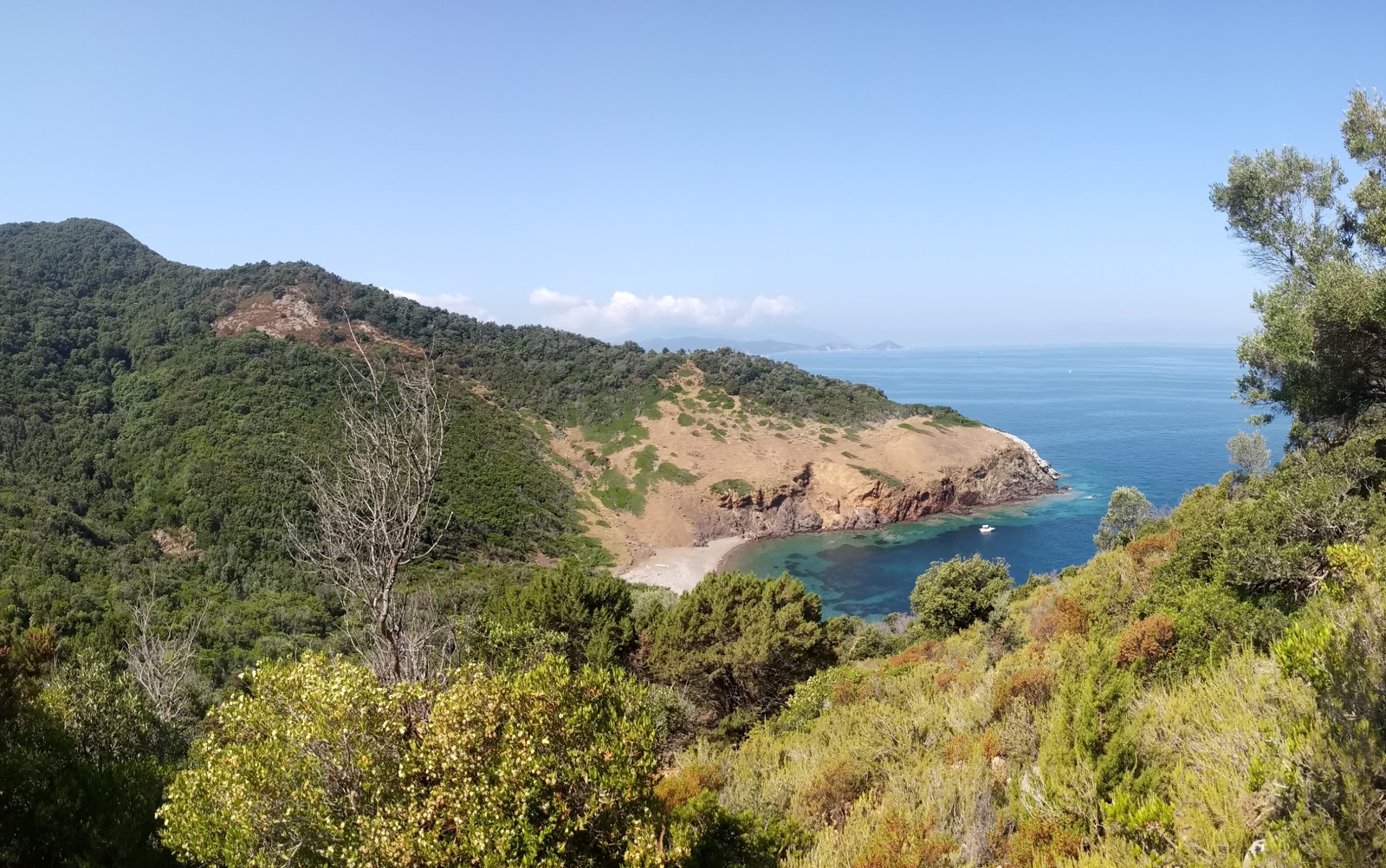 Mangani beach的照片 带有小海湾