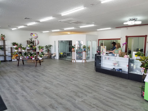 Florist «Mandarin Orchid House», reviews and photos, 3137 Stockton Hill Rd, Kingman, AZ 86401, USA