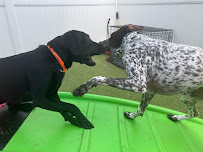 Allie's Walkabout - Photo 3 - Car repair in Erlanger, KY, Cincinnati