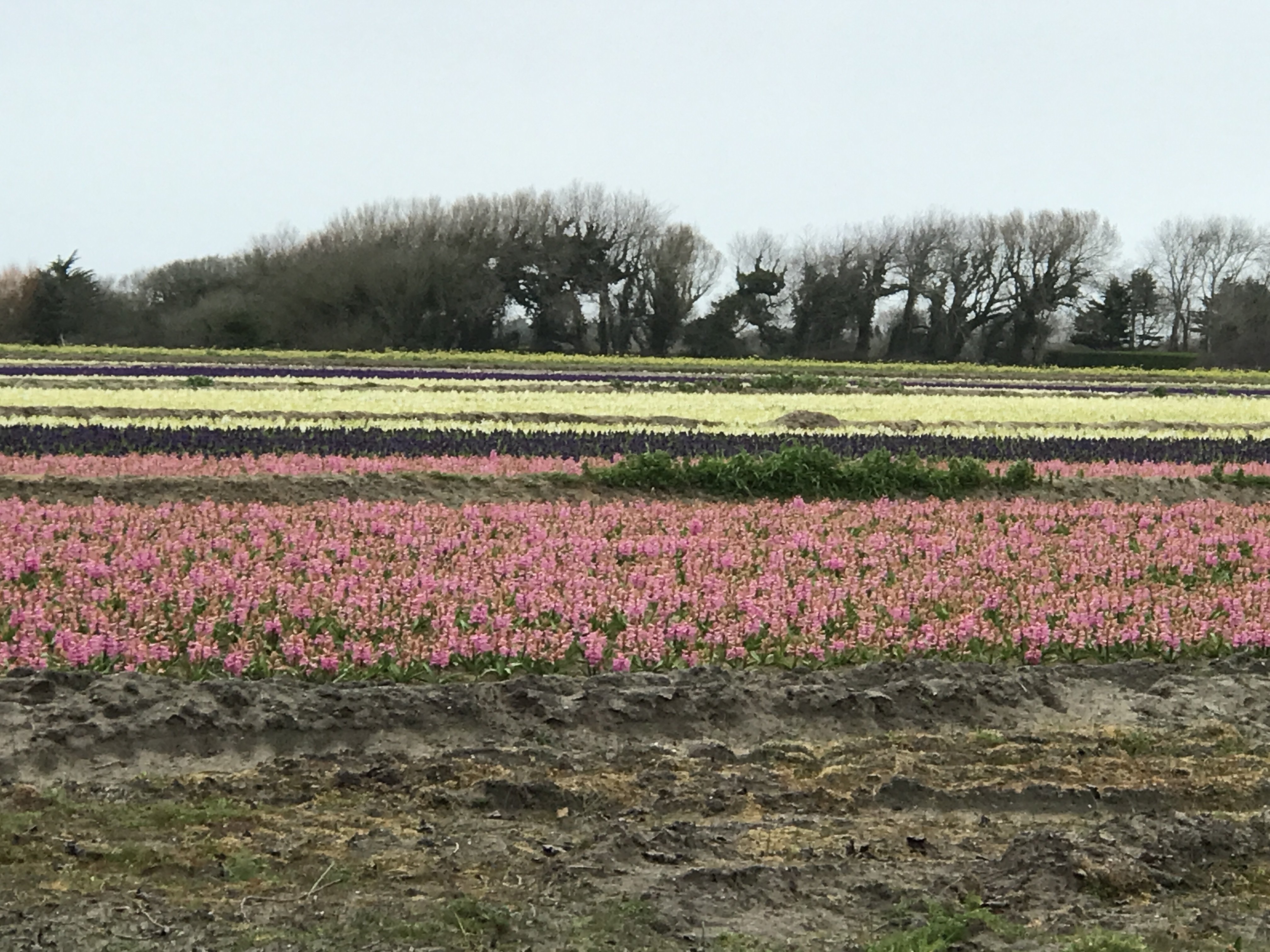 Photo n° 6 de l'avis de Jean-Marie.U fait le 11/03/2022 à 10:42
