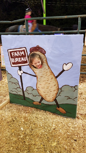 Fairground «Elberton Fair», reviews and photos