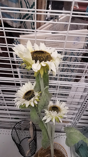 Clothing Store «Ross Dress for Less», reviews and photos, 3900 Klose Way, Richmond, CA 94806, USA