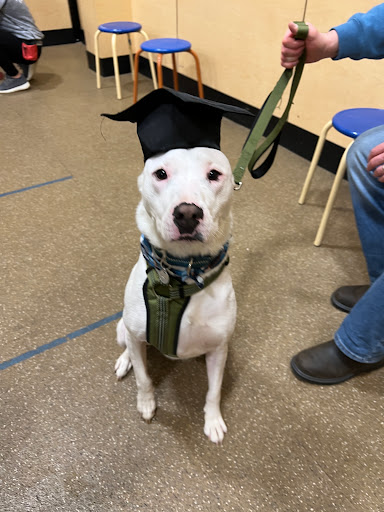 Pet Supply Store «PetSmart», reviews and photos, 400 Universal Dr N, North Haven, CT 06473, USA