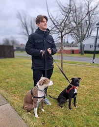 Aaron's Dog Care LLC - Car repair in , Buffalo - Rated 5.0/5