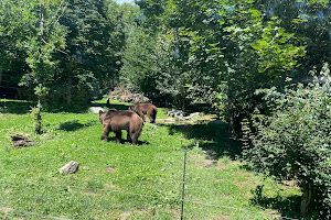 Tierpark Bern