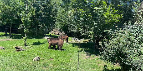 Tierpark Bern