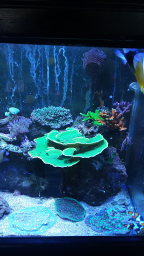 Pet Store «Fish Aquariums & Stuff», reviews and photos, 6112 W Fairview Ave, Boise, ID 83704, USA