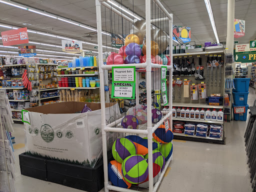 Pharmacy «Discount Drug Mart», reviews and photos, 24485 Lorain Rd, North Olmsted, OH 44070, USA