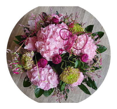Les fleurs de Milicia à Gignac