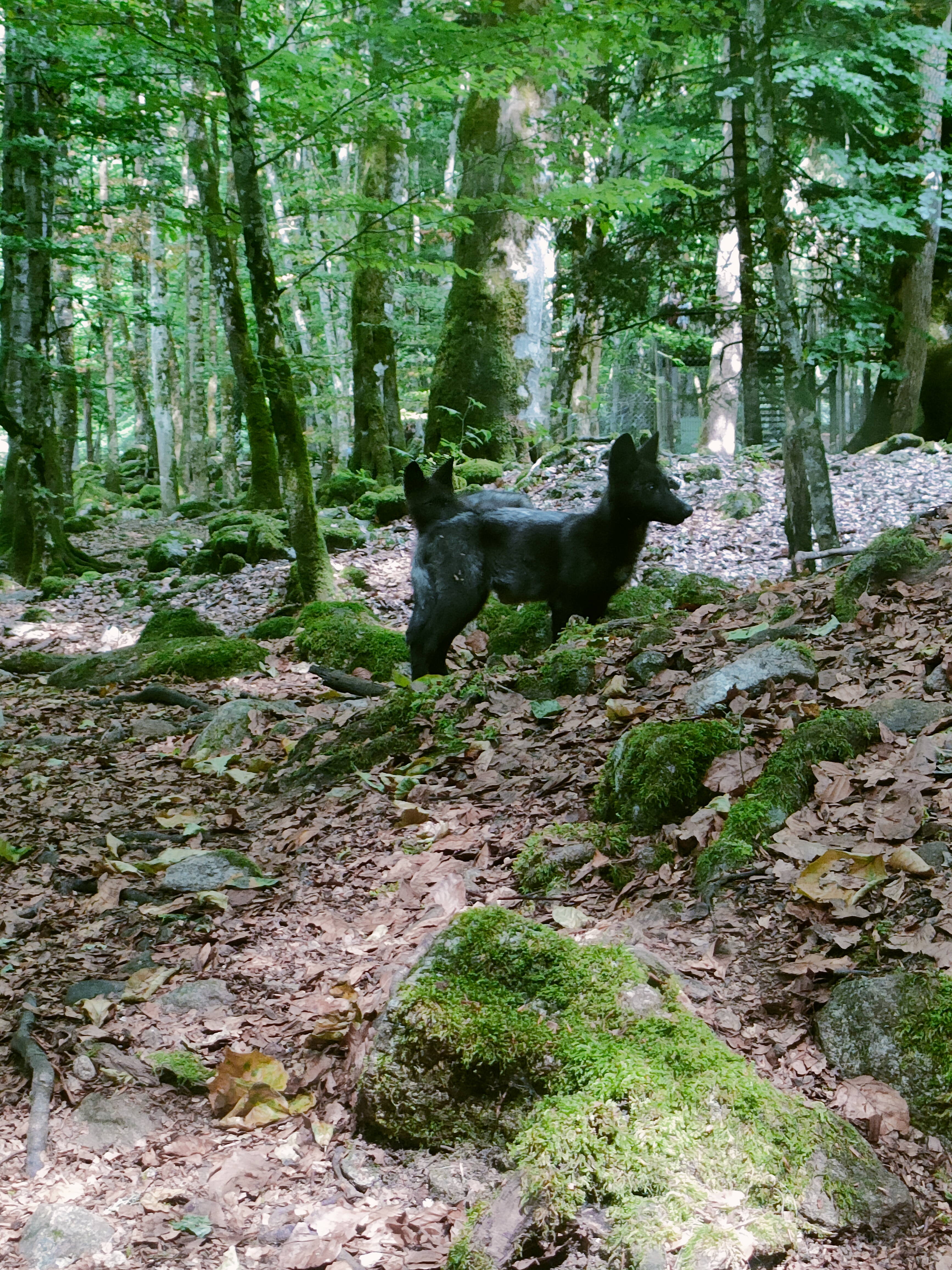 Photo n° 2 de l'avis de Emeline.e fait le 09/08/2022 à 20:55
