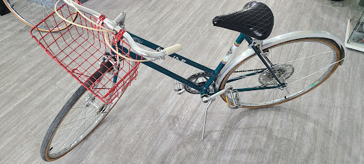 Bycicle Recycle
