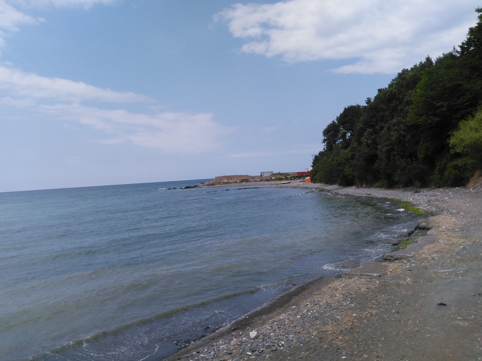 Foto av Alapli Plaj omgiven av klippor