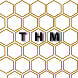 Logo da empresa - THM Consultoria em Tecnologia e Gestão de Processos