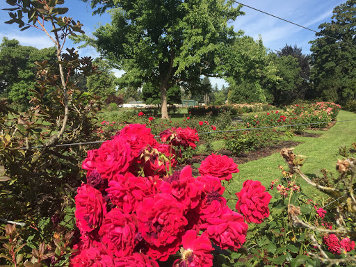 Real Estate Agency «Key Realty Group Inc - Eugene Oregon Real Estate Agency», reviews and photos, 627 Country Club Rd, Eugene, OR 97401, USA