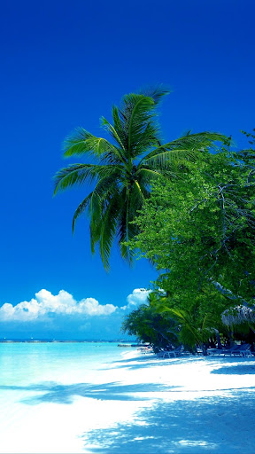 Art Museum «deCordova Sculpture Park and Museum», reviews and photos, 51 Sandy Pond Rd, Lincoln, MA 01773, USA