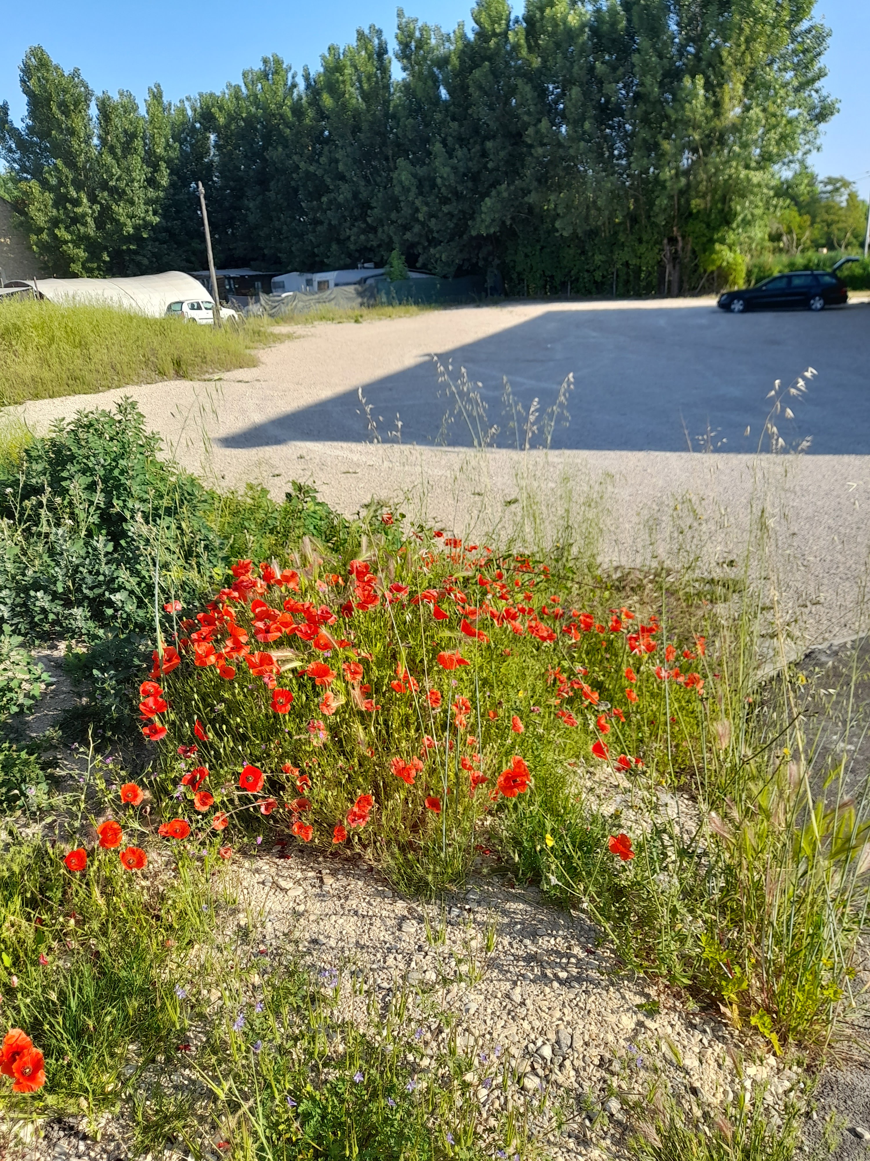 Photo n° 2 de l'avis de Patricia.A fait le 14/05/2022 à 21:18